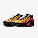 Air Max Plus Tn1 “Tiger”