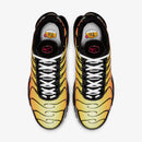 Air Max Plus Tn1 “Tiger”