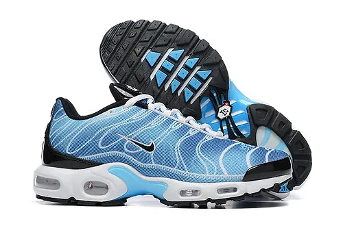 Nike Air max plus Tn “Blue PHOTOGRAPHY“